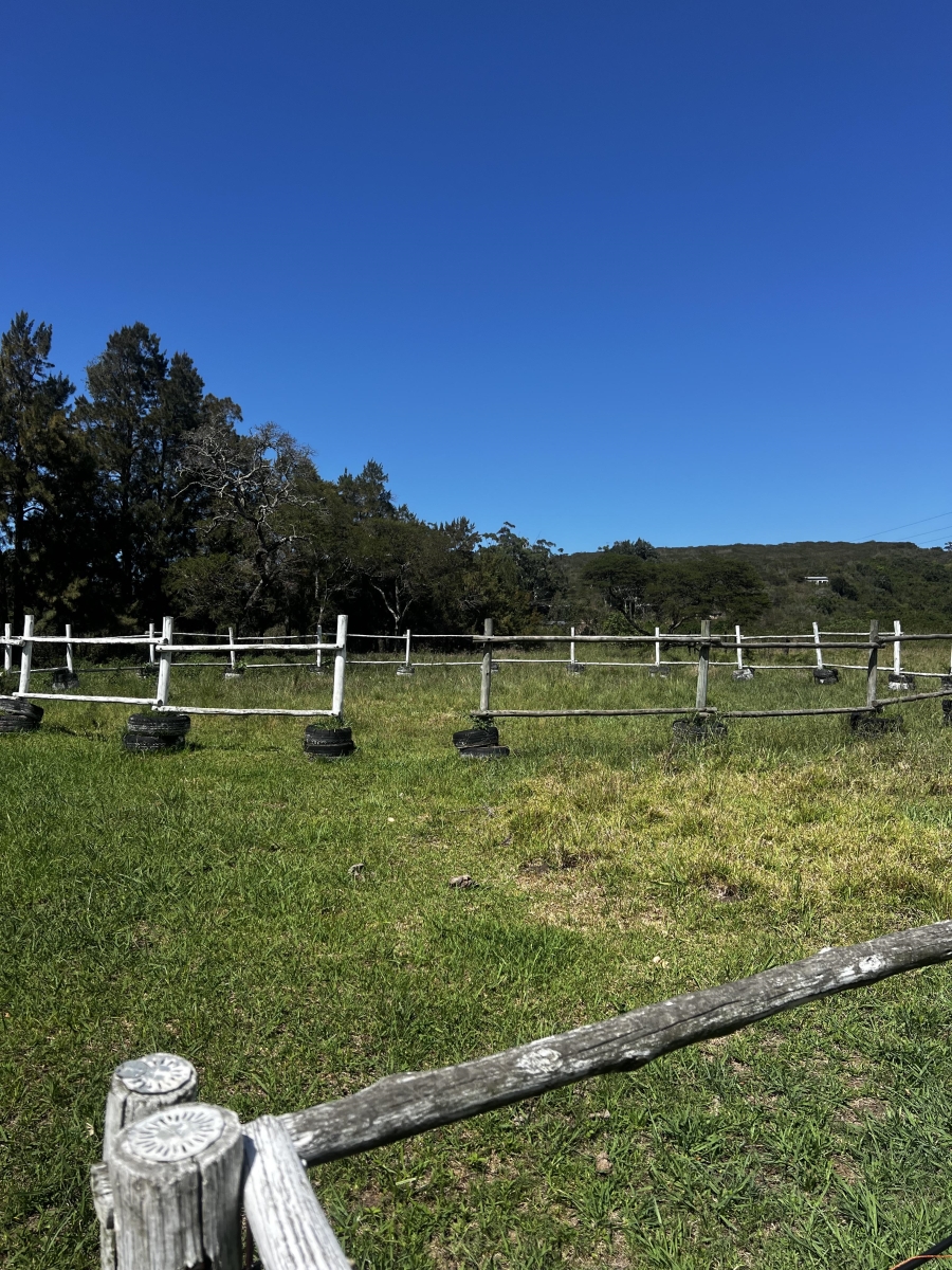 4 Bedroom Property for Sale in Meisies Halt Eastern Cape